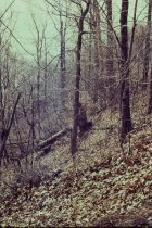 Site of future new beach road